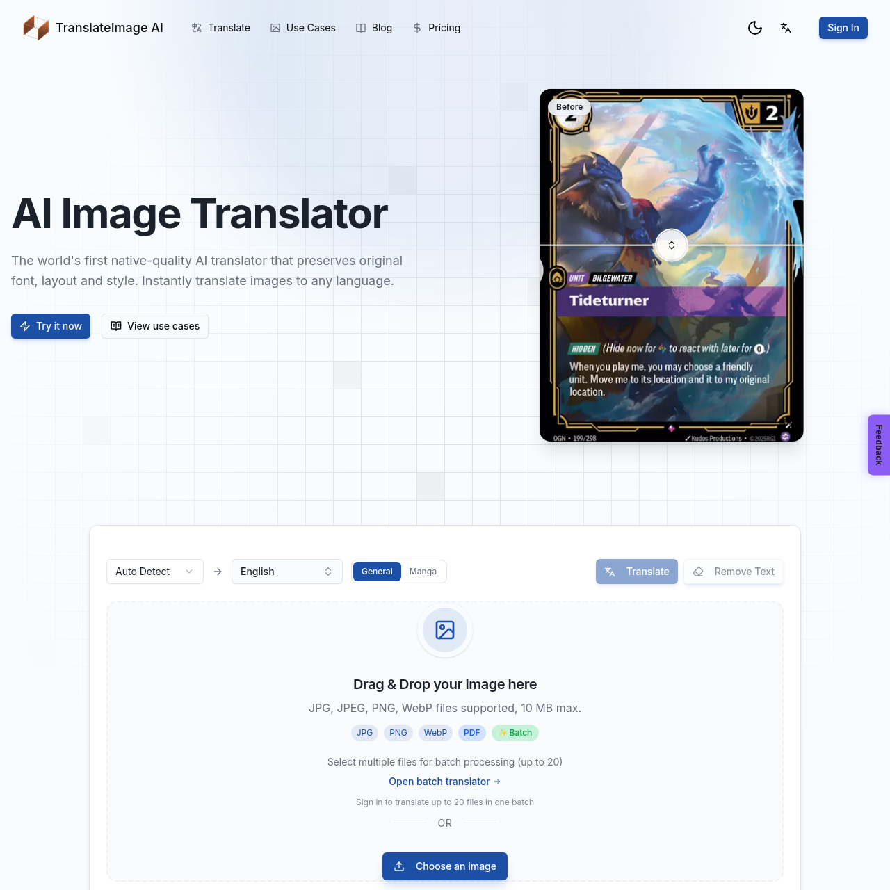 Image translator with layout preservation